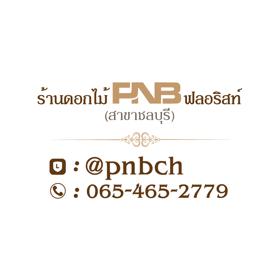 PNB ฟลอริสท์ ชลบุรี Logo